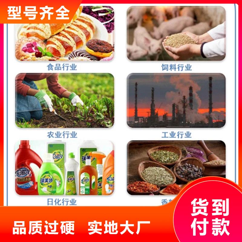 找羽衣甘藍廠家選樂農食品有限公司