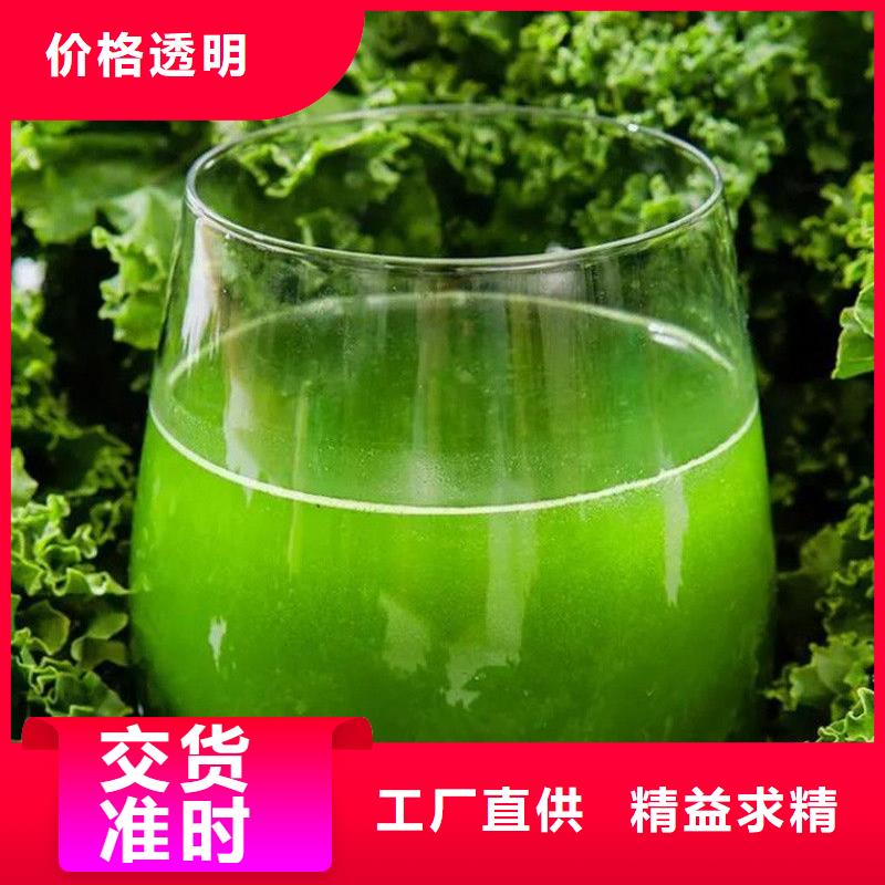 羽衣甘蓝粉厂家-羽衣甘蓝粉定制