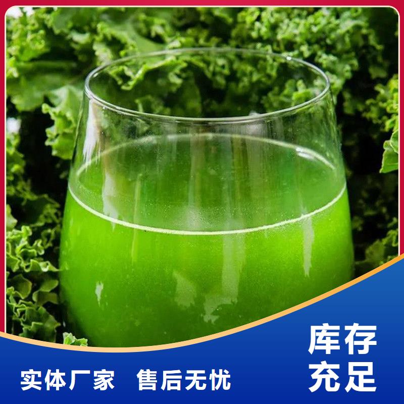 脫水羽衣甘藍(lán)廠家供應(yīng)