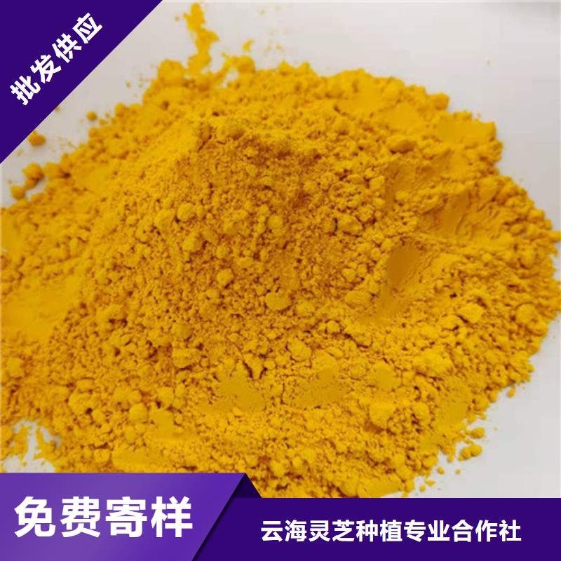 当地货源【 南瓜粉灵芝孢子粉好货直供】