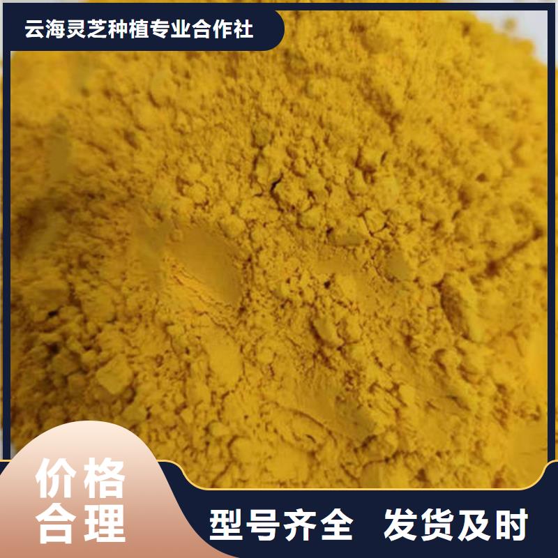 南瓜熟粉多少錢一斤