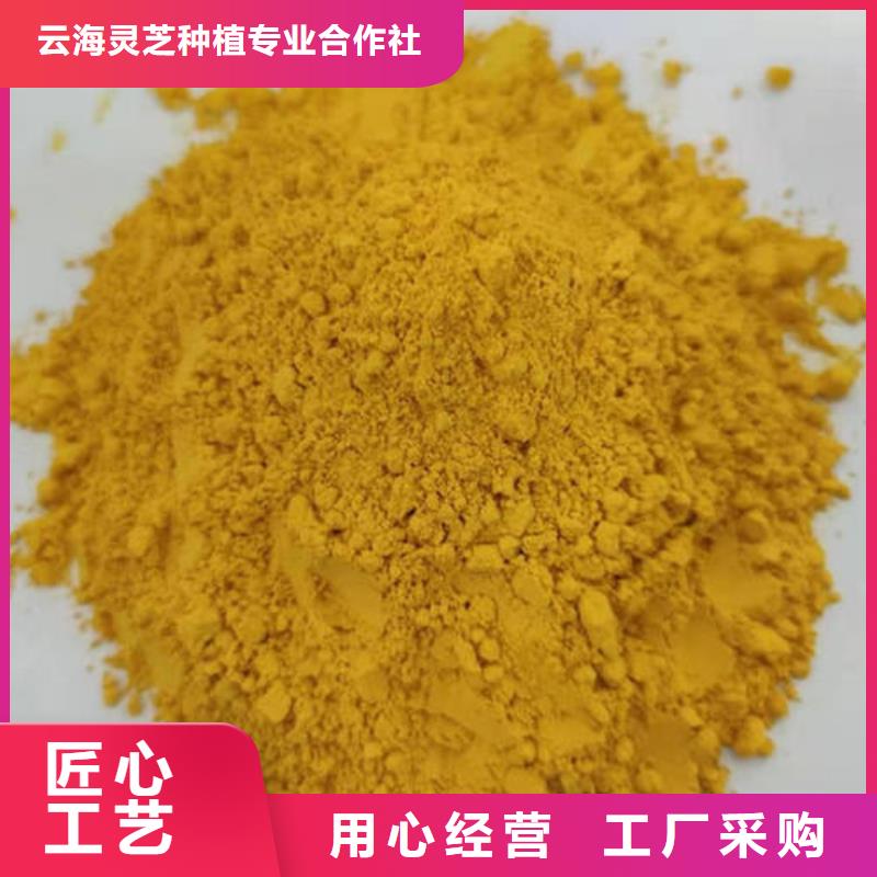 南瓜粉,有機孢子粉品牌大廠家