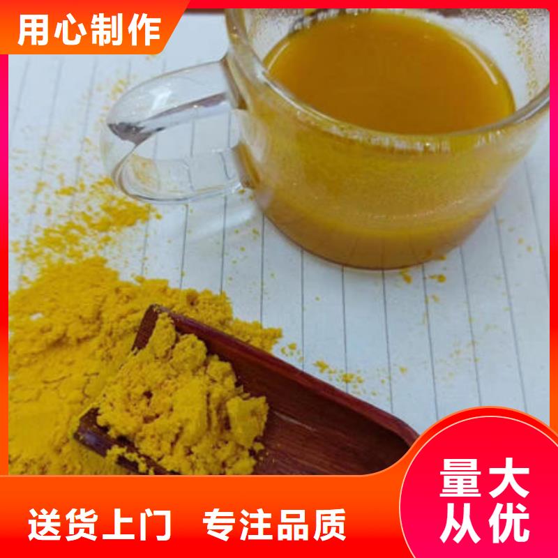灵芝菌种视频-灵芝菌种(云海)覆盖地域广东省江门市鹤山|江海|河源|肇庆|惠州|中山|深圳