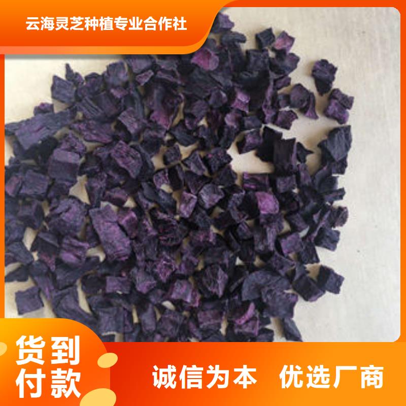 紫薯丁靈芝誠信經營質量保證