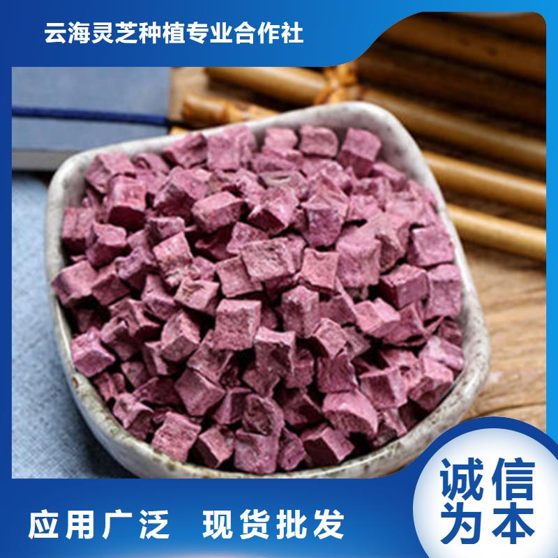 紫薯丁破壁靈芝孢子粉廠家批發(fā)價