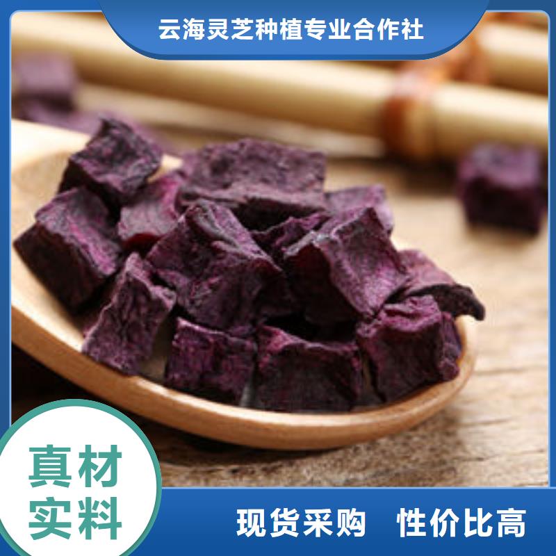 【紫薯丁靈芝孢子粉實體廠家大量現貨】