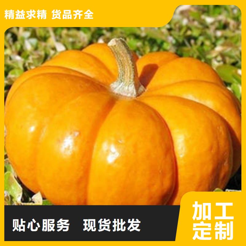 云海灵芝菌种南瓜丁,【无硫野生黑灵芝】匠心工艺sz5e.com