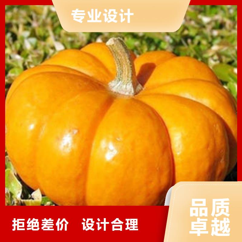 南瓜熟丁多少錢一斤