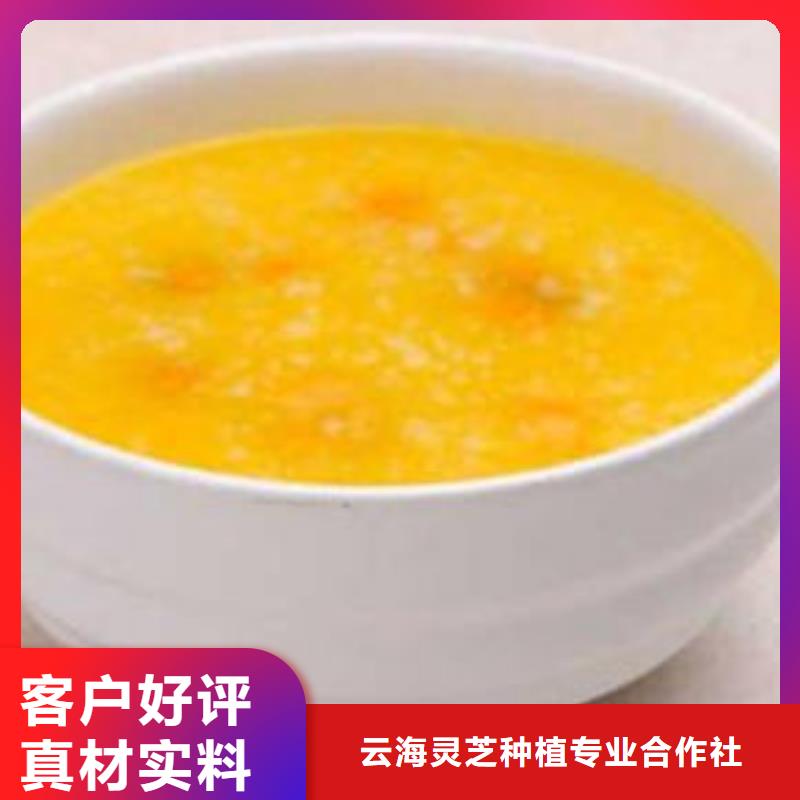 南瓜丁-【【有机栎木赤灵芝】】价格实惠工厂直供
