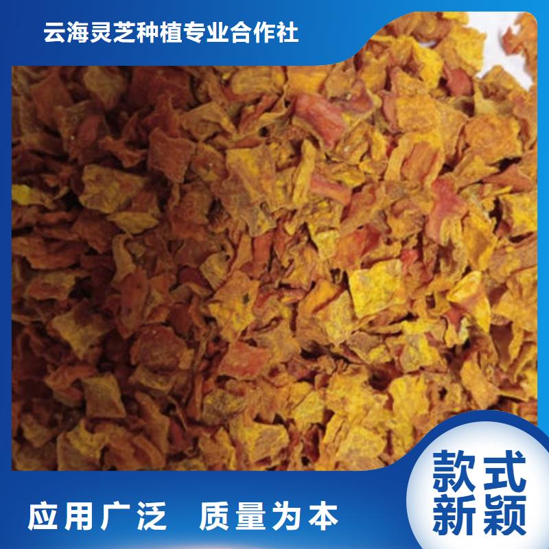 南瓜丁-【【有机栎木赤灵芝】】价格实惠工厂直供