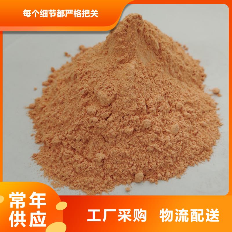 胡萝卜粉破壁灵芝孢子粉实体厂家支持定制