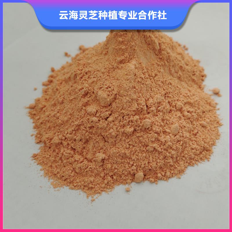 灵芝菌种视频-灵芝菌种|赤峰市|呼伦贝尔|呼和浩特|通辽|兴安|阿拉善|包头|乌兰察布