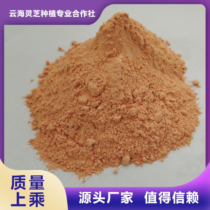 胡蘿卜粉靈芝菌種可接急單