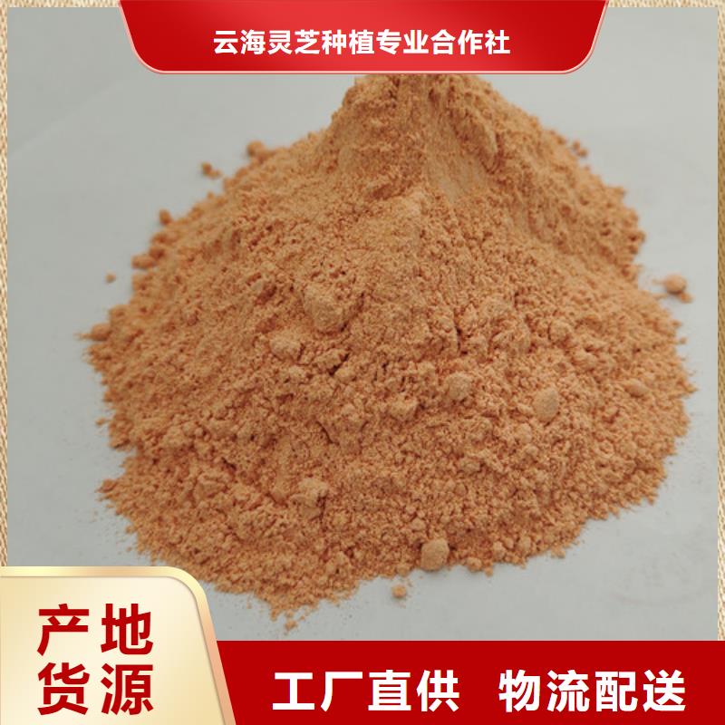 胡蘿卜粉【有機櫟木赤靈芝】當日價格