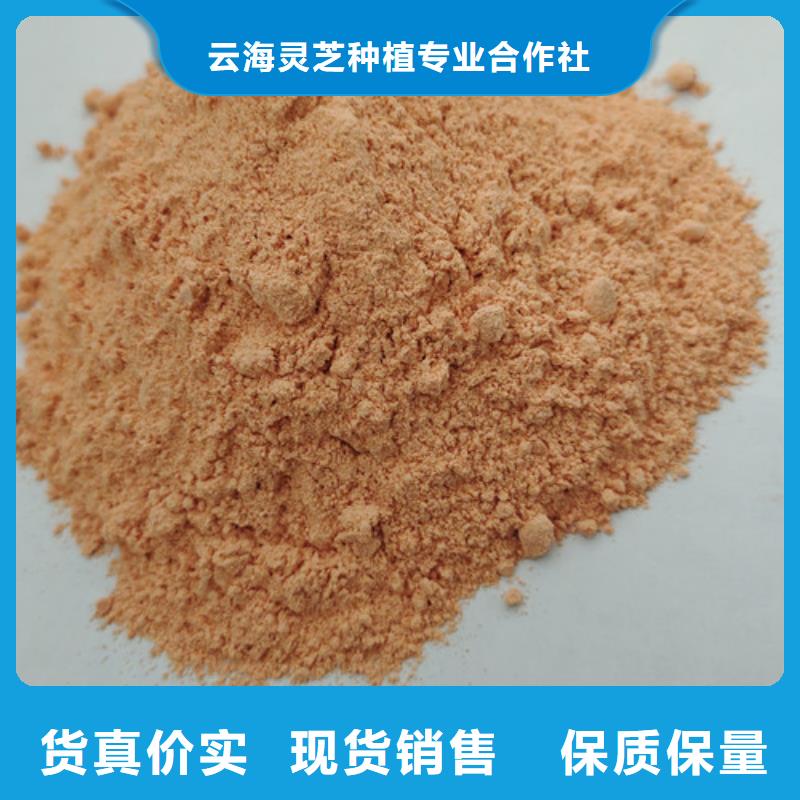 胡萝卜粉破壁灵芝孢子粉实体厂家支持定制