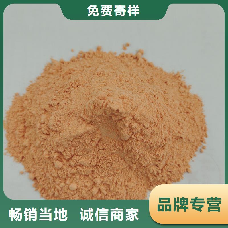 胡蘿卜粉靈芝菌種一站式廠家