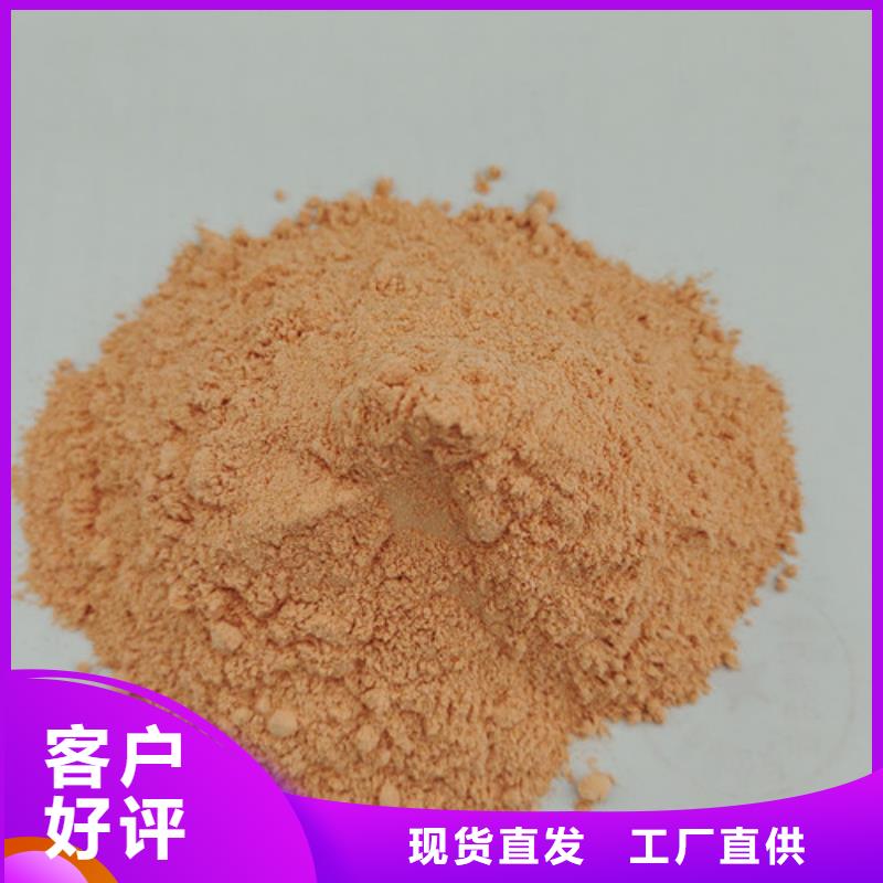 胡蘿卜粉靈芝菌種精選廠家好貨