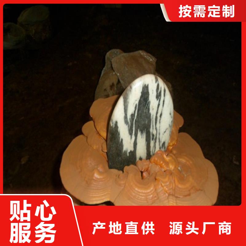 靈芝孢子粉,靈芝孢子粉價格現(xiàn)貨交易