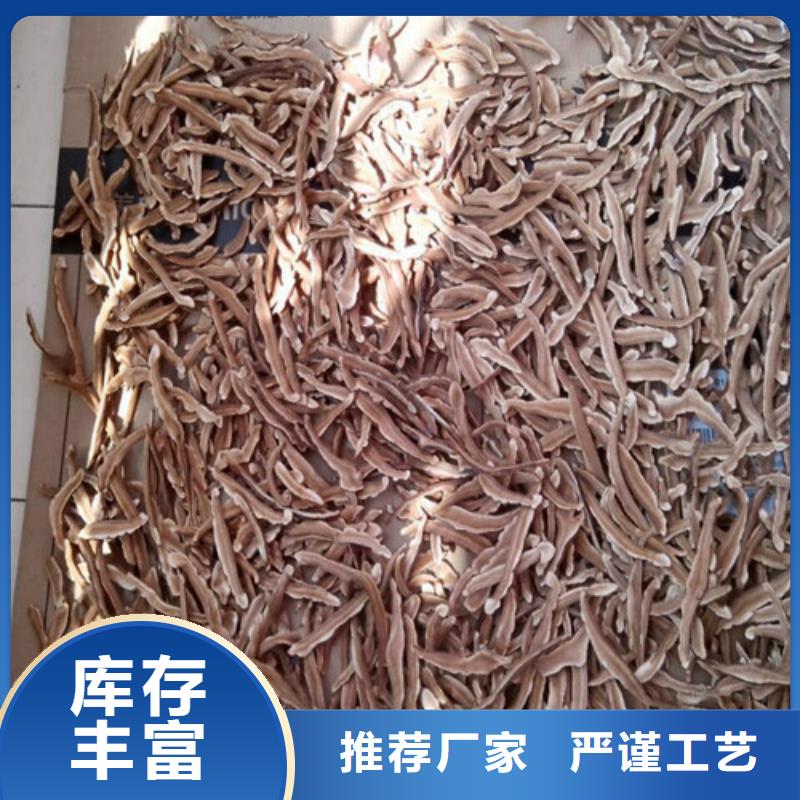 上虞靈芝粉廠家