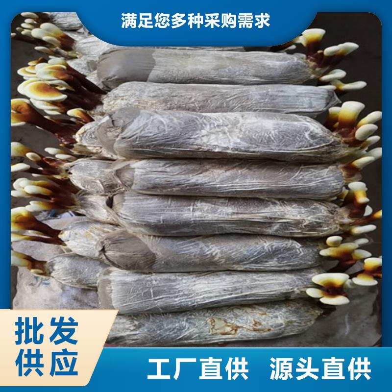 信譽好的
靈芝孢子粉廠家