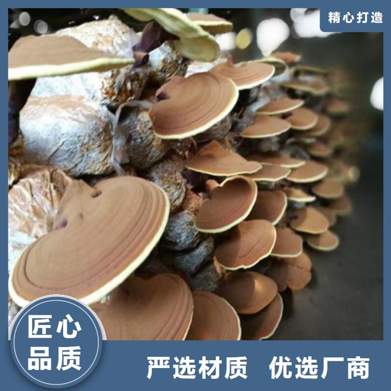 破壁靈芝孢子粉怎么賣
