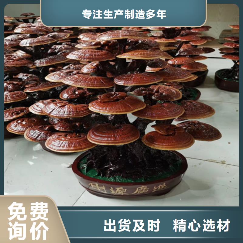 發貨及時的
靈芝超細粉公司