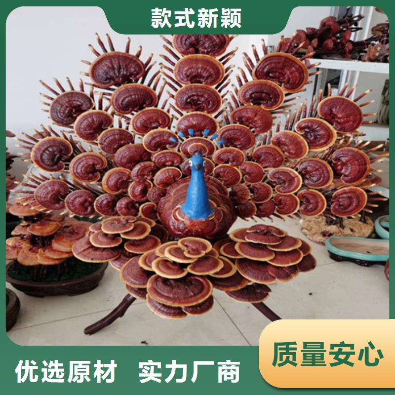 蔚縣瑞芝吃的方法