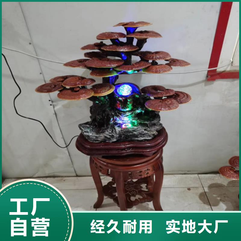 優惠的孢子靈芝品牌廠家