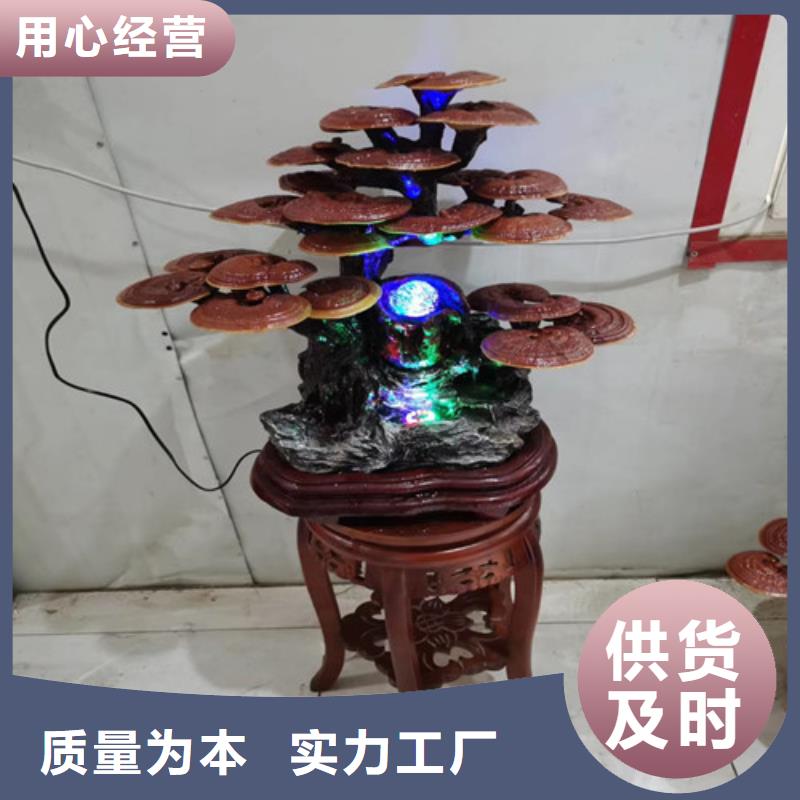 崇禮赤靈芝如何保存