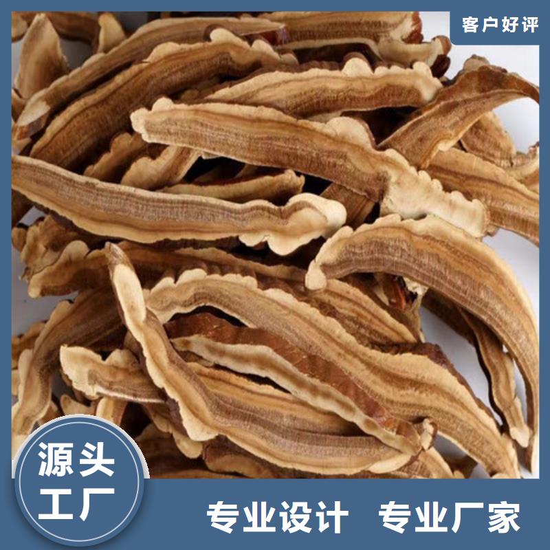 靈芝粉