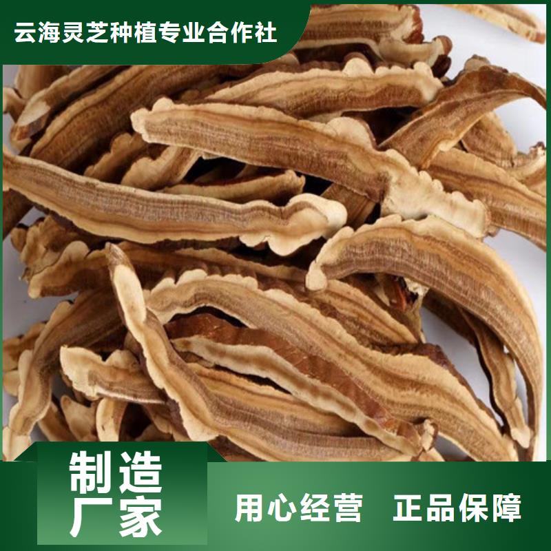 破壁靈芝孢子粉廠家-只為制造精品