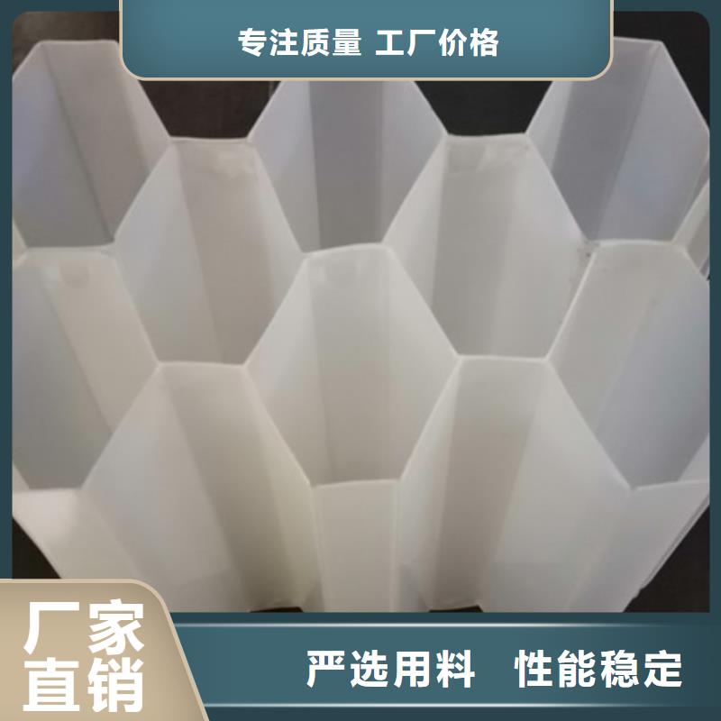 陵縣蜂窩斜管填料