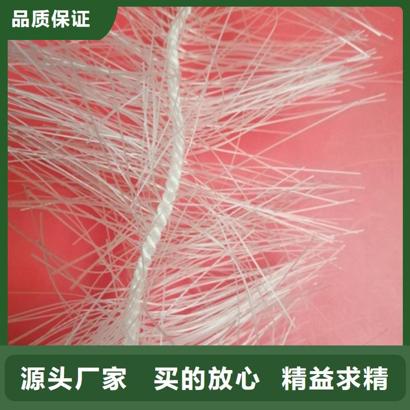彈性填料食品級硅藻土交貨準時