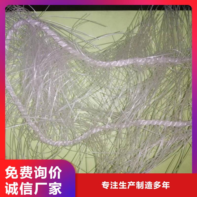 彈性填料食品級硅藻土交貨準時