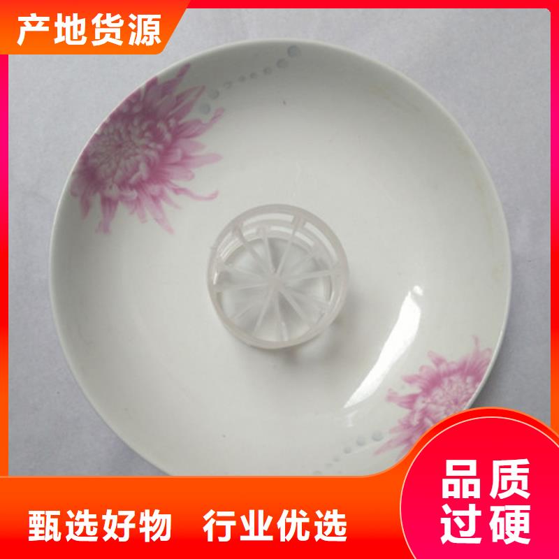 脫硫塔用鮑爾環廠家價格