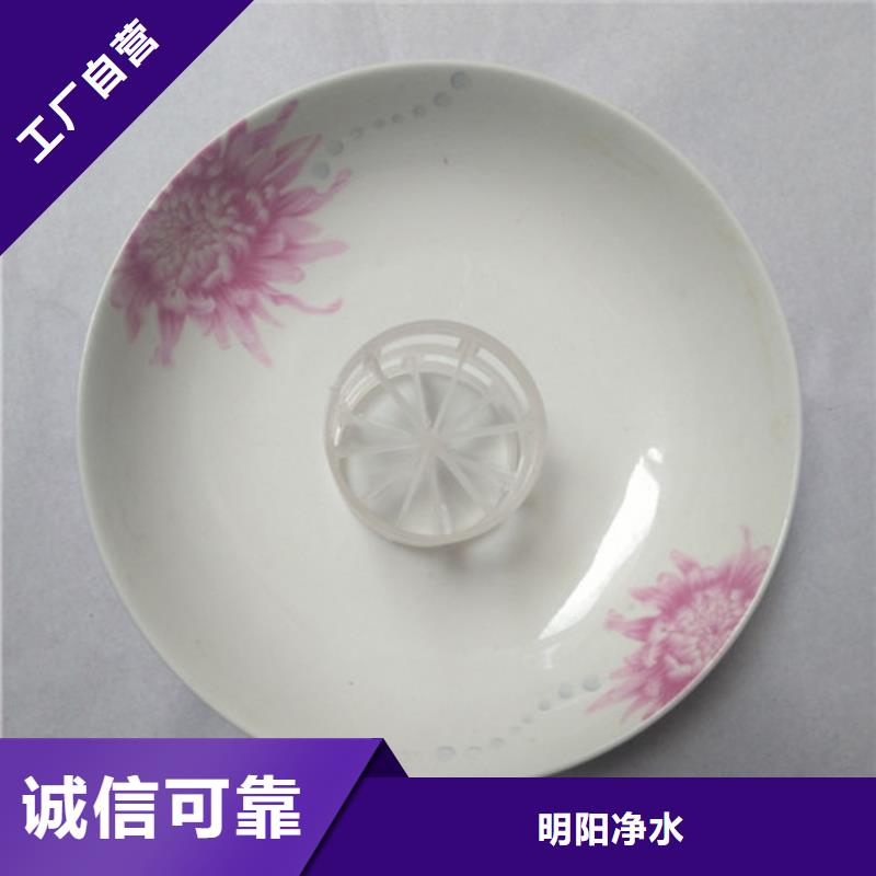 金屬鮑爾環明陽廠家