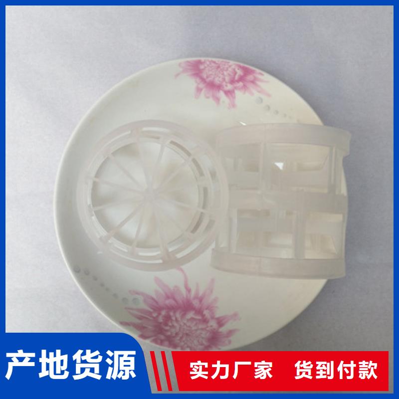 CO2脫氣塔用鮑爾環明陽廠家