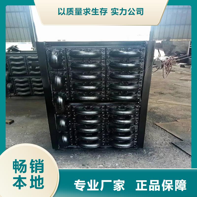燃煤鍋爐省煤器-鑄造廠家