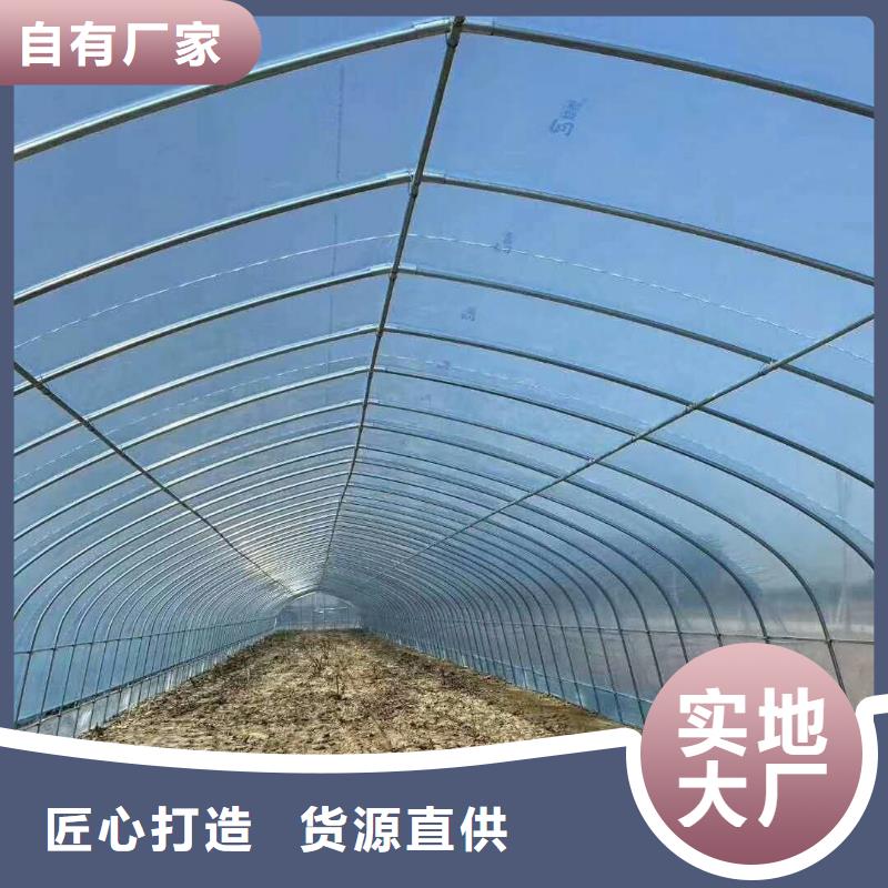 榮縣玻璃溫室廠家2025