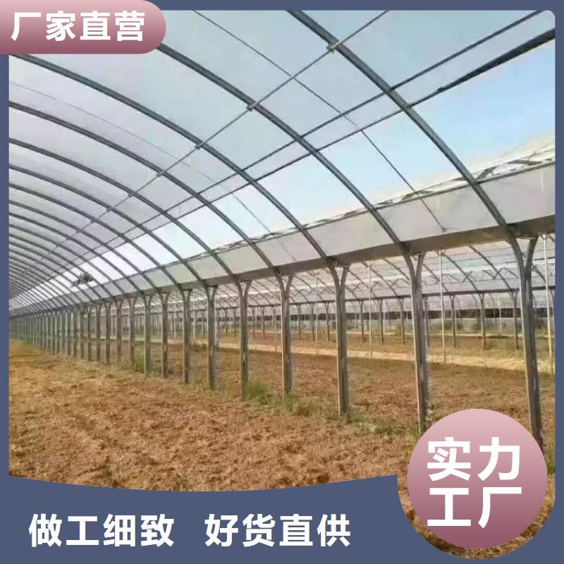蔬菜連棟大棚 批發零售