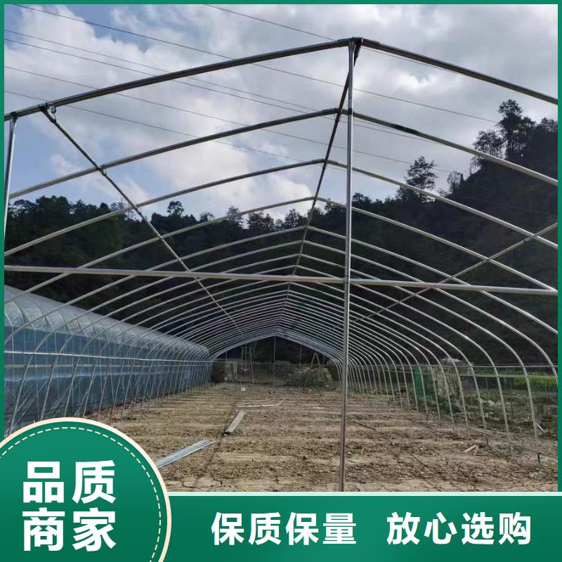 博野高品質大棚骨架來電咨詢2025
