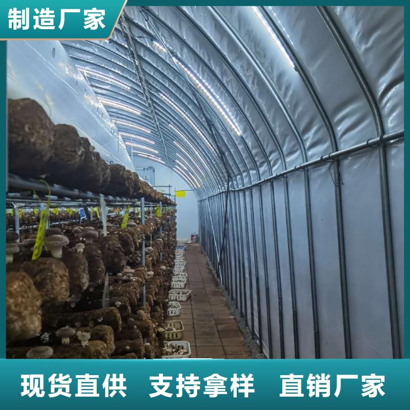 容城橢圓管鍍鋅大棚鋼架送大棚配件