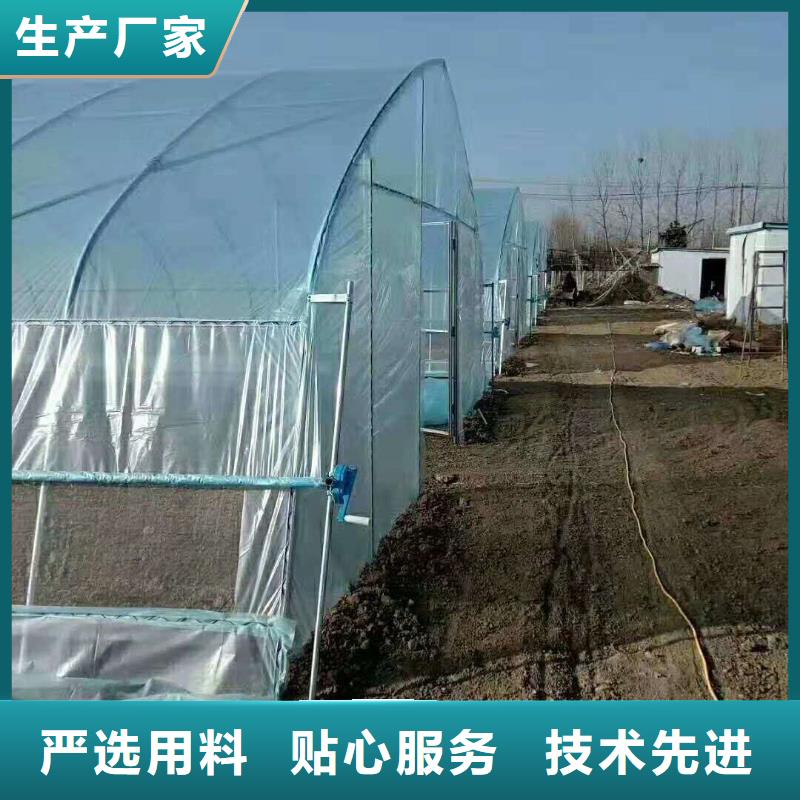 嵊州市連體定尺大棚管工藝精湛,