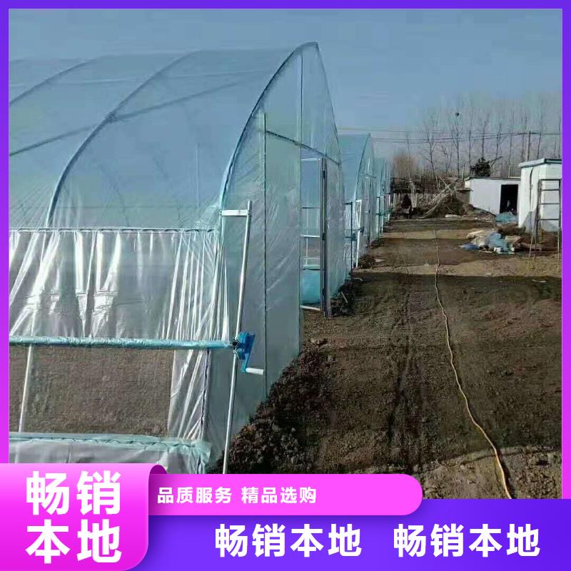 江夏区绿色植物大棚管价格供应信息,