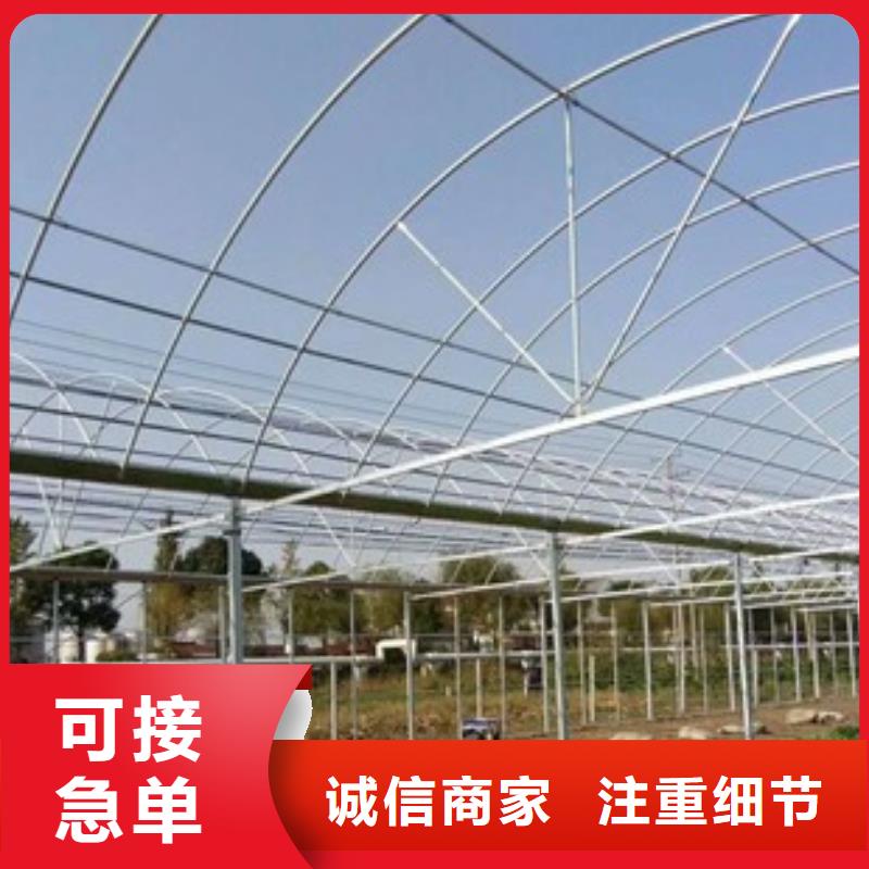 定尺蔬菜大棚管精品