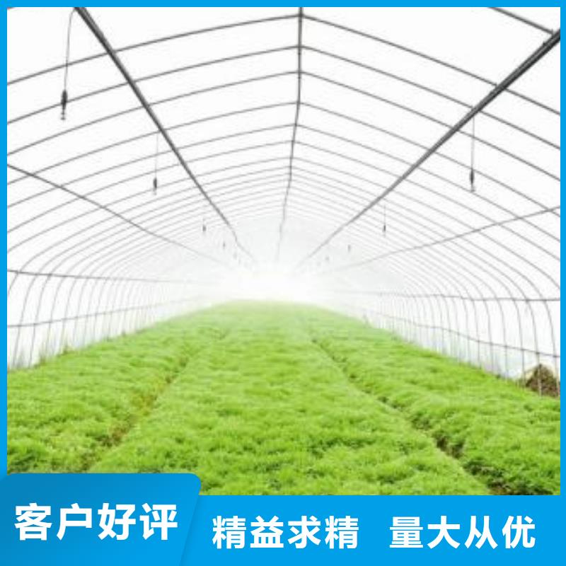 江夏区绿色植物大棚管价格供应信息,