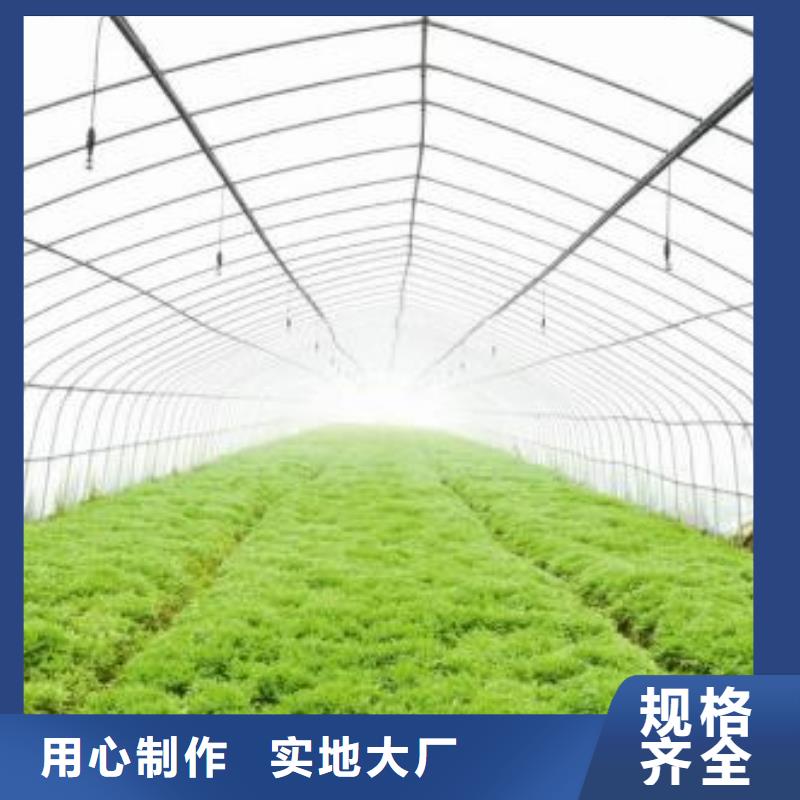 瓜果大棚管加工