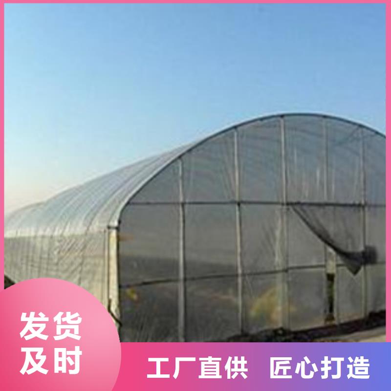 白河縣825型大棚管價格免費(fèi)查詢、