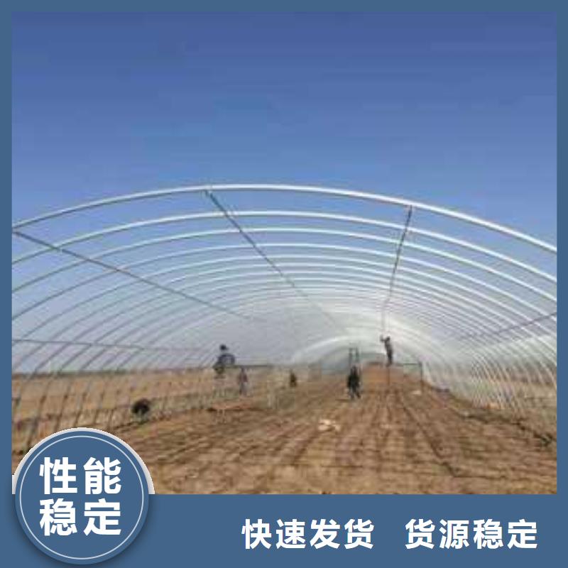嵩縣貴州薄膜連棟日光溫室大棚私人訂制
