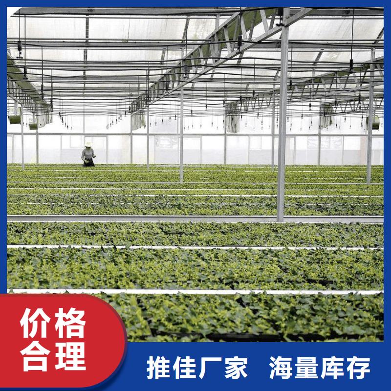 大棚管2_連棟大棚管工藝層層把關(guān)